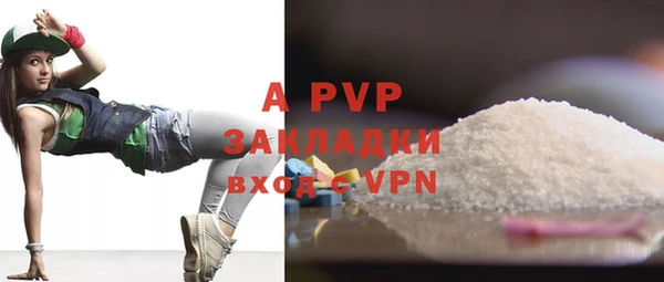 спайс Няндома