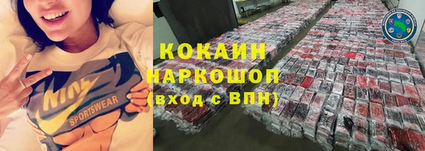 спайс Няндома