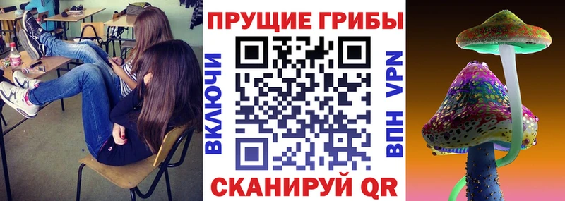 магазин продажи   Чекалин  Псилоцибиновые грибы мухоморы 